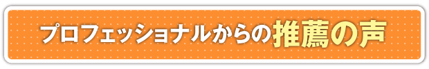 プロフェッショナルからの推薦の声